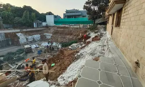 Chandigarh: बेसमेंट के लिए अवैध खुदाई से पेड़ उखड़ गए Chandigarh: बेसमेंट के लिए अवैध खुदाई से पेड़ उखड़ गए