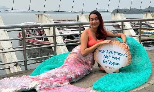 Kerala : कोच्चि में जलपरी ने लहराया संदेश, मछली भोजन नहीं मित्र Kerala : कोच्चि में जलपरी ने लहराया संदेश, मछली भोजन नहीं मित्र