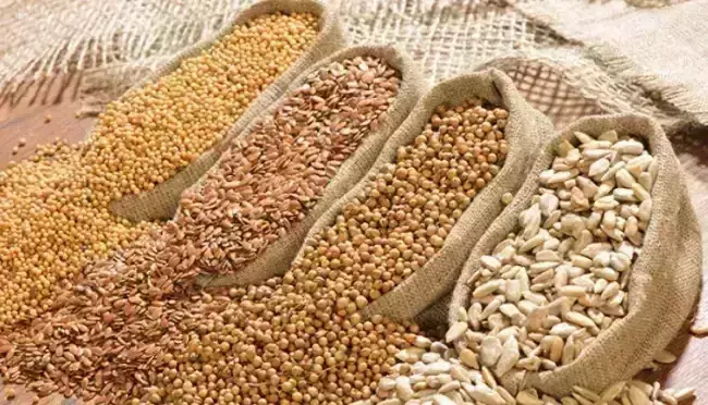Rajasthan में दलहन-तिलहन की एमएसपी खरीद को लेकर केंद्रीय कृषि राज्यमंत्री ने नैफेड को दिया निर्देश Rajasthan में दलहन-तिलहन की एमएसपी खरीद को लेकर केंद्रीय कृषि राज्यमंत्री ने नैफेड को दिया निर्देश