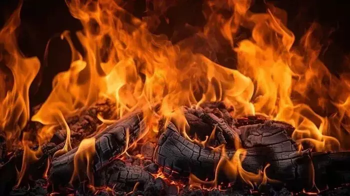 Ranchi: घर में आग लगने से लाखों की संपत्ति जल कर खाक Ranchi: घर में आग लगने से लाखों की संपत्ति जल कर खाक