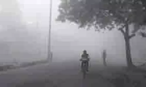 हिमाचल: जानलेवा बनी शुष्क ठंड, एक व्यक्ति की मौत हिमाचल: जानलेवा बनी शुष्क ठंड, एक व्यक्ति की मौत