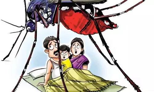 DPH: तेलंगाना में वेक्टर जनित बीमारियों में कोई वृद्धि नहीं DPH: तेलंगाना में वेक्टर जनित बीमारियों में कोई वृद्धि नहीं