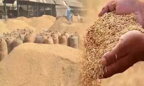 Darbhanga: 57 लाख 5 हजार 412 मीट्रिक टन धान का उत्पादन हुआ