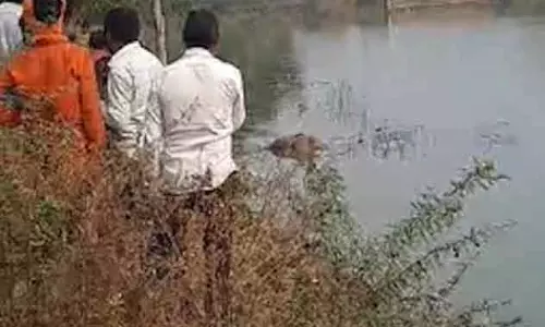 कचना तालाब में मिला अर्धनग्न शव, इलाके में सनसनी