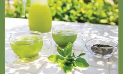 Different Leaf Tea Benefits:रोज पिएं इन पत्तों से बनी चाय,कई बीमारियां ठीक हो जाएंगी Different Leaf Tea Benefits:रोज पिएं इन पत्तों से बनी चाय,कई बीमारियां ठीक हो जाएंगी
