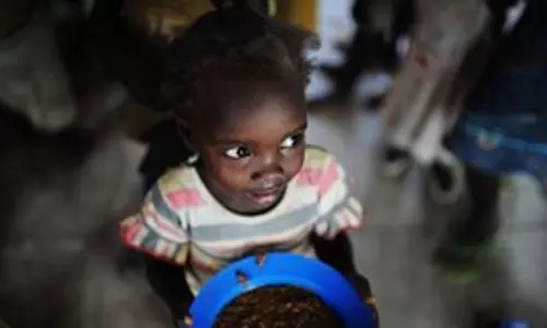 चैरिटी ने चेतावनी दी, 2025 के मध्य तक South Sudan में 30 प्रतिशत अधिक बच्चे कुपोषण का सामना करेंगे चैरिटी ने चेतावनी दी, 2025 के मध्य तक South Sudan में 30 प्रतिशत अधिक बच्चे कुपोषण का सामना करेंगे