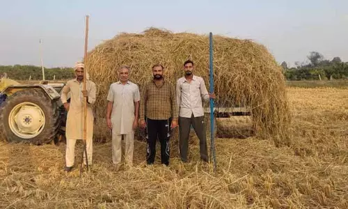 Abohar village ने पराली प्रबंधन के लिए पर्यावरण अनुकूल तरीके अपनाए Abohar village ने पराली प्रबंधन के लिए पर्यावरण अनुकूल तरीके अपनाए