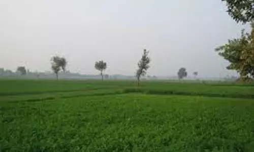 Haryana: कैथल क्षेत्र में किसानों को 38 हजार एकड़ जमीन पर मालिकाना हक मिलेगा Haryana: कैथल क्षेत्र में किसानों को 38 हजार एकड़ जमीन पर मालिकाना हक मिलेगा