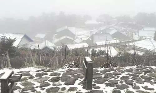 Sikkim : संदख्पु में हल्की बर्फबारी, दार्जिलिंग में सर्दी का असर