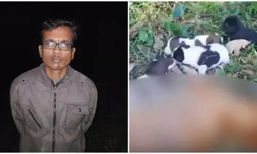 Assam के नागांव में पांच पिल्लों की मां कुतिया की हत्या के आरोप