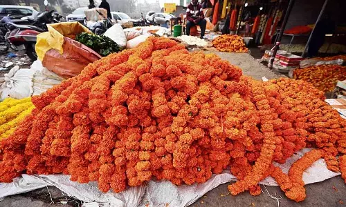 पुष्प, नारियल अपशिष्ट के पुनर्चक्रण पर MC परियोजना अधर में पुष्प, नारियल अपशिष्ट के पुनर्चक्रण पर MC परियोजना अधर में