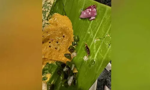 Kukatpalli में टिफिन सेंटर में खाने में कॉकरोच मिलने का ग्राहक ने लगाया आरोप