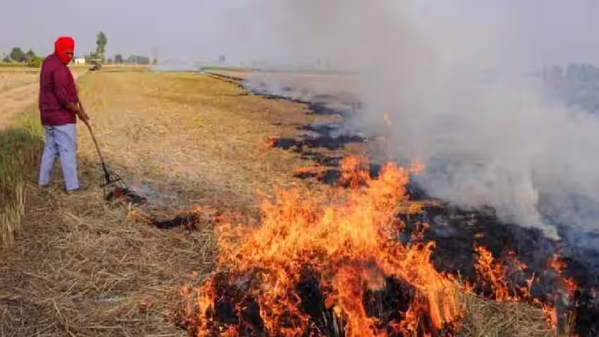 Datia: पराली जलाने वालों की जायेगी कड़ी कार्यवाही Datia: पराली जलाने वालों की जायेगी कड़ी कार्यवाही