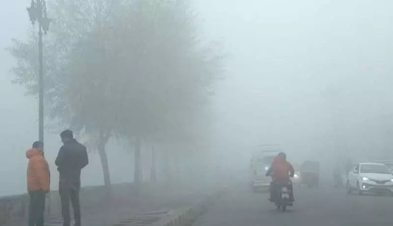 Weather: तापमान में गिरावट, सीकर और चूरू सहित इन जिलों में कोहरा