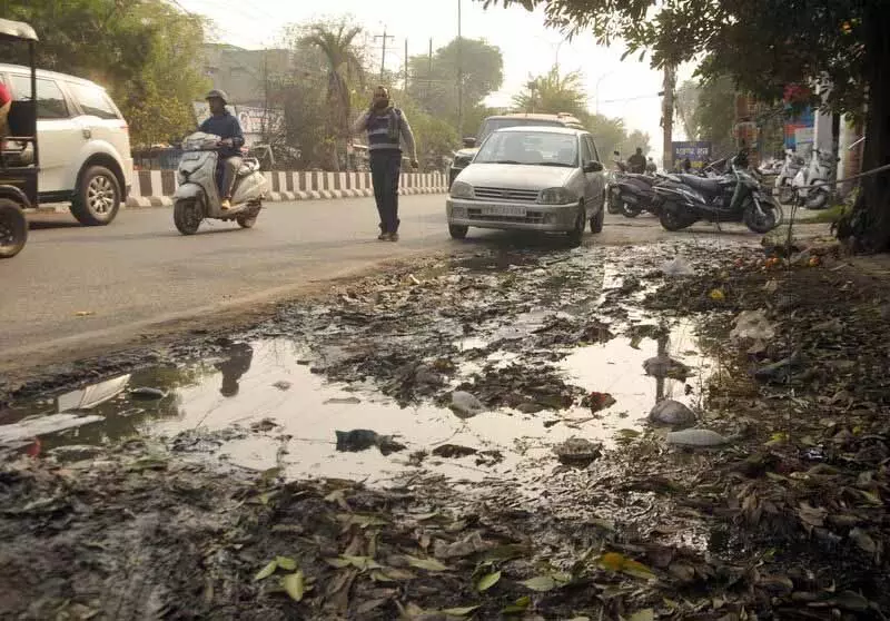 Amritsar में डेंगू, चिकनगुनिया के मामलों को रोकने के लिए अधिकारियों ने अभियान तेज किया