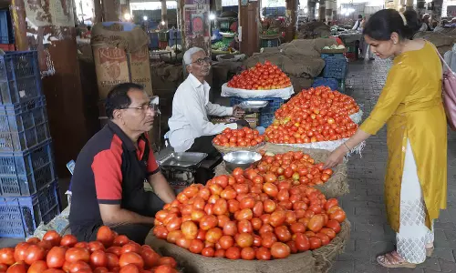Centre ने टमाटर आपूर्ति श्रृंखला को स्थिर करने के लिए 28 विचारों को वित्त पोषित किया