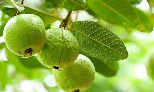 डायबिटीज रोगियों को इन फलों को सुबह के समय खाना चाहिए