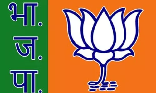 महाराष्‍ट्र में बीजेपी की आंधी, सहयोगी दलों के कुल सीटों से भी पार्टी चल रही बहुत आगे