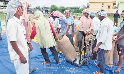 Sambalpur जिले में धान की खरीद शुरू होने से किसान सशंकित