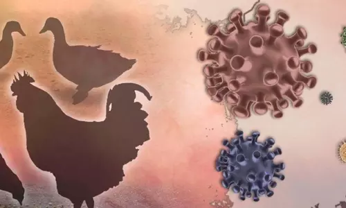 यूएस सीडीसी ने कैलिफोर्निया में बच्चे में एच5एन1 बर्ड फ्लू संक्रमण की पुष्टि की