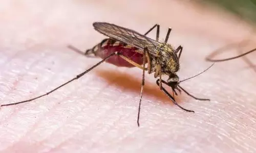 Assam : कोकराझार जिले में मलेरिया के सबसे अधिक मामले दर्ज Assam : कोकराझार जिले में मलेरिया के सबसे अधिक मामले दर्ज