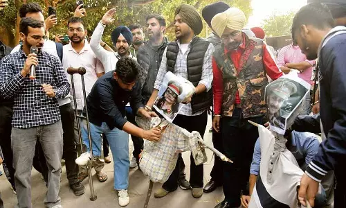 प्रदर्शनकारी छात्रों ने Punjab विश्वविद्यालय के कुलपति और मुख्य सुरक्षा अधिकारी का पुतला जलाया