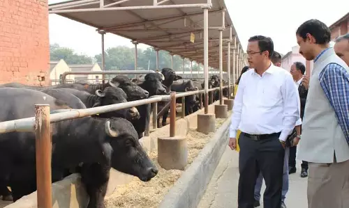 Arunachal में आईसीएआर-सीआईआरबी की प्रगति
