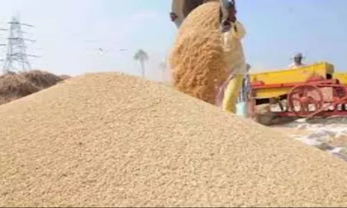 किसानों को दी गई मोदी की गारंटी के अनुरूप हो रही धान खरीदी : CM विष्णुदेव साय
