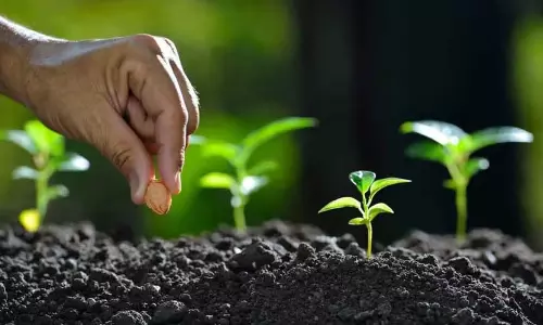 Tripura ने मिजोरम, मणिपुर के लिए बीज प्रमाणीकरण का कार्यभार संभाला