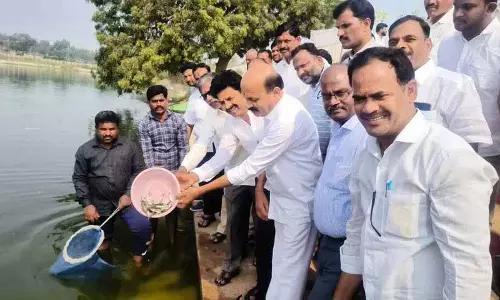 Chinta Prabhakar ने 10 झीलों में मछलियां छोड़ने पर कांग्रेस की आलोचना की