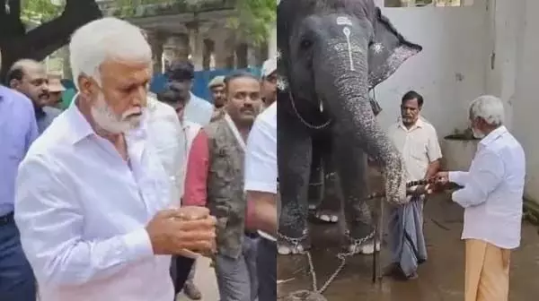 Shekhar Babu जिन्होंने तिरुचेंदुर मंदिर के हाथी को गन्ना दिया, देवी ने चखाया