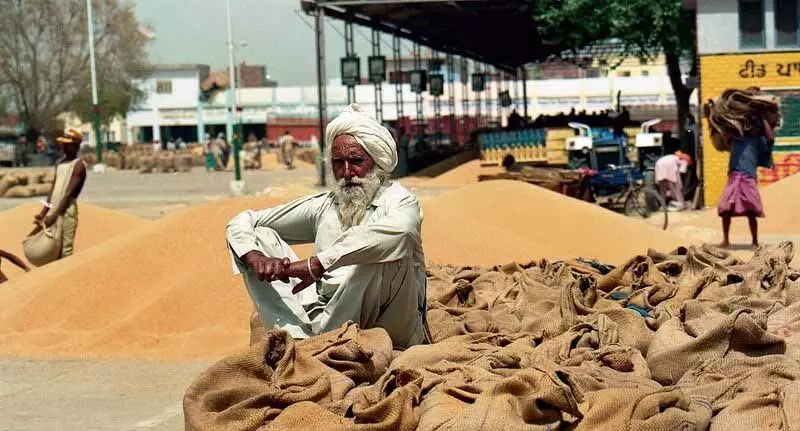 सुप्रीम कोर्ट पैनल ने MSP, अन्य उपायों की जांच करने का सुझाव दिया