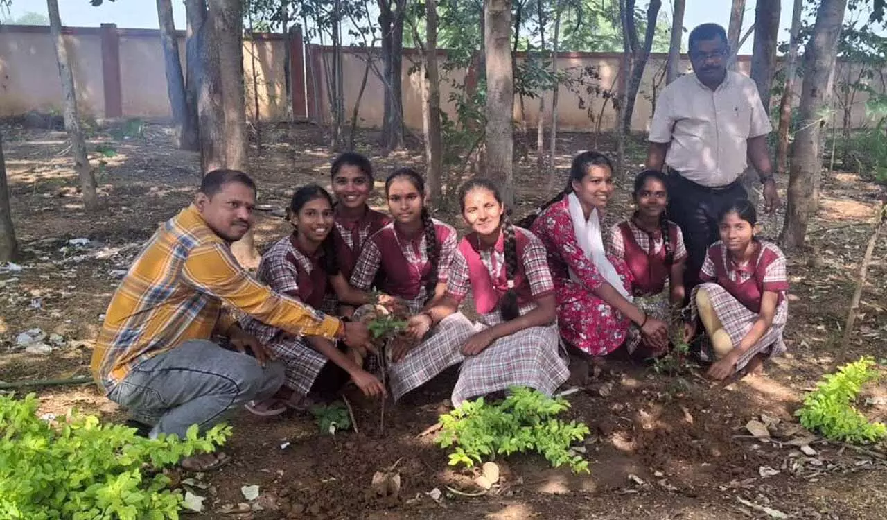 Siddipet के स्कूलों में करी पत्ता, मोरिंगा का पौधारोपण अभियान