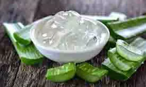 Hair care: आपके बालों की चमक हो गई है फीकी तो लगाएं ये एलोवेरा हेयर पैक