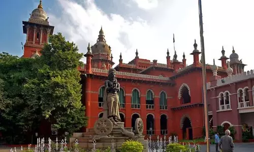 ‘बच्चे बंदर की पोस्टमार्टम रिपोर्ट पेश करें’: Madras High Court ‘बच्चे बंदर की पोस्टमार्टम रिपोर्ट पेश करें’: Madras High Court
