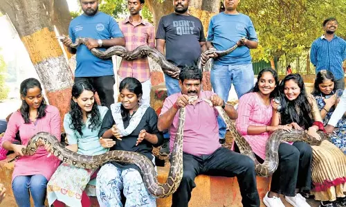 Vizag स्नेक सेवर की टीम ने दो दशकों में 35 हजार सरीसृपों को बचाया Vizag स्नेक सेवर की टीम ने दो दशकों में 35 हजार सरीसृपों को बचाया