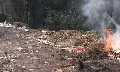 Haryana :  बहादुरगढ़ में 17 अनाधिकृत स्थलों पर कूड़ा डाला गया
