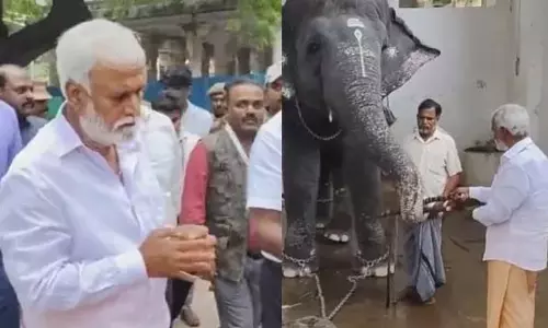 Shekhar Babu जिन्होंने तिरुचेंदुर मंदिर के हाथी को गन्ना दिया, देवी ने चखाया