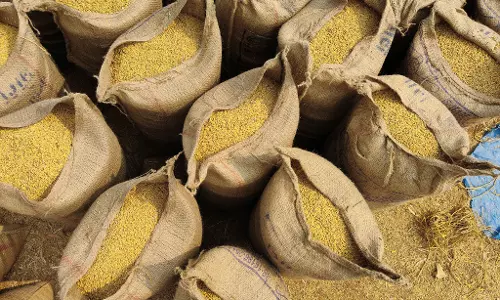 सुचारू में रूप से चल रहा धान खरीदी महाभियान
