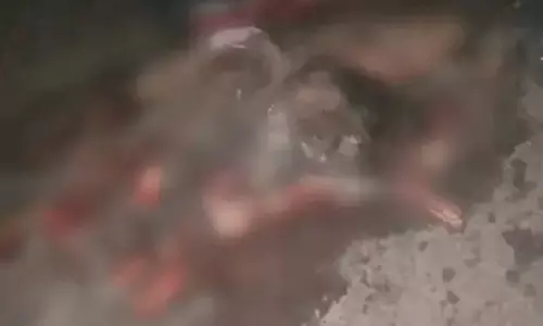 भारी वाहन में बुरी तरह पिस गया युवक, स्पॉट पर मौत भारी वाहन में बुरी तरह पिस गया युवक, स्पॉट पर मौत