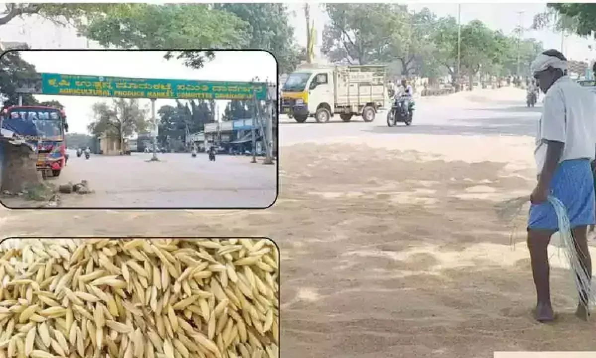 Karnataka: बम्पर फसल के बावजूद दावणगेरे के किसानों पर संकट
