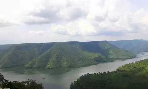 कांग्रेस सरकार Amrabad जंगल में एलिवेटेड रोड के निर्माण पर जोर दे रही है