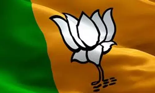 Minorities के गढ़ में शानदार जीत के बाद असम BJP की नजर 5 ऐसी सीटों पर