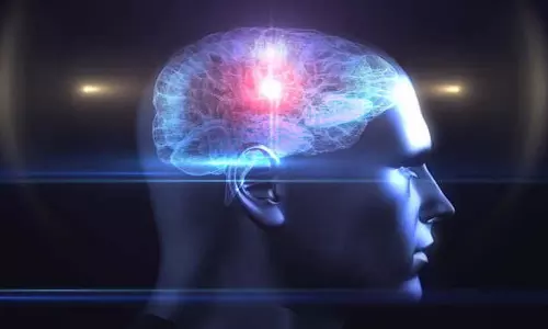 Scientists ने मस्तिष्क की एक नई गतिविधि का पता लगाया Scientists ने मस्तिष्क की एक नई गतिविधि का पता लगाया
