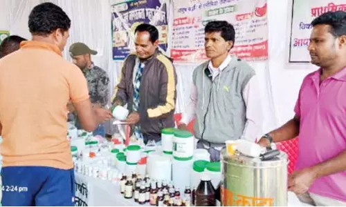 आयुष स्वास्थ्य मेले से कई लोगों को मिल रहा लाभ आयुष स्वास्थ्य मेले से कई लोगों को मिल रहा लाभ