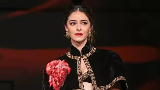 Ananya Panday , सोशल मीडिया ट्रोल के कारण थेरेपी ले रही थीं