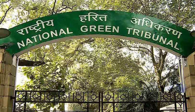 Delhi: अवैध बोरवेल संचालकों के खिलाफ NGT सख्त, नगर निगम को कार्रवाई करने का निर्देश