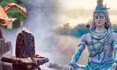 Pradosh Vrat 2024 Daan: मार्गशीर्ष मास के पहले प्रदोष व्रत पर करें इन चीजों का दान