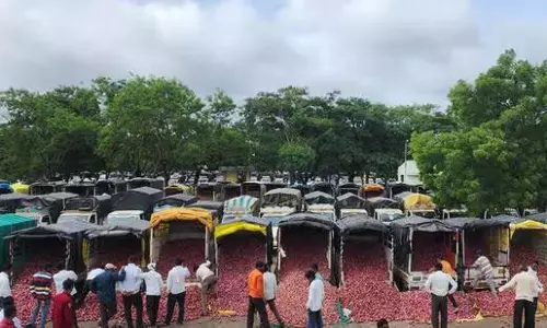 Maharashtra’s के प्याज़ क्षेत्र ने छह महीने के भीतर कैसे बदली अपनी वफ़ादारी