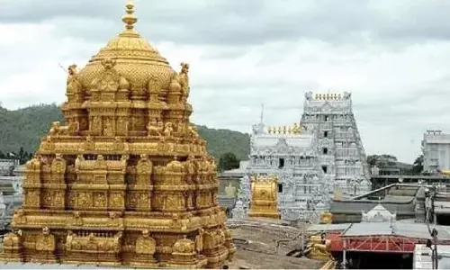 Tirupati एसुमलायन के दर्शन के लिए ₹300 का विशेष दर्शन टिकट: 7 पर्वतीय हाथियाँ Tirupati एसुमलायन के दर्शन के लिए ₹300 का विशेष दर्शन टिकट: 7 पर्वतीय हाथियाँ